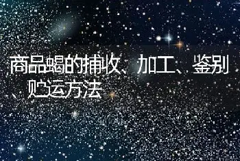 商品蝎的捕收、加工、鉴别、贮运方法