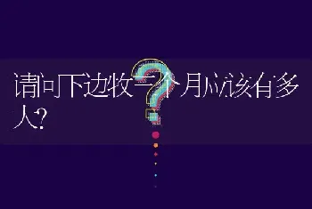 请问下边牧三个月应该有多大？