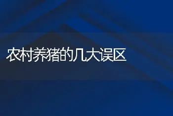 农村养猪的几大误区