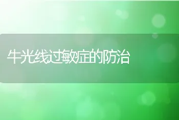 牛光线过敏症的防治