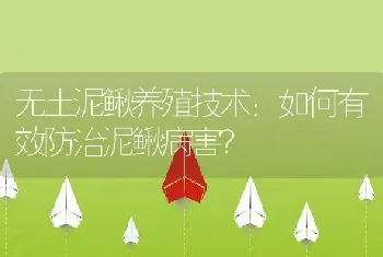 无土泥鳅养殖技术：如何有效防治泥鳅病害？