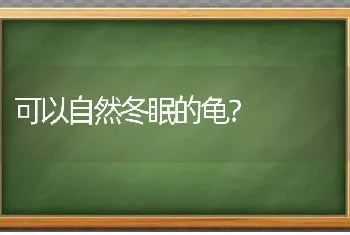 可以自然冬眠的龟？