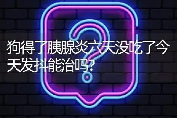 狗得了胰腺炎六天没吃了今天发抖能治吗？