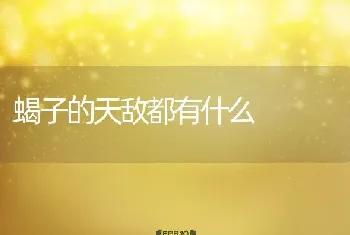 蝎子的天敌都有什么