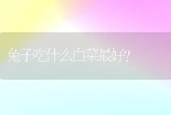 哈士奇多大才听话？