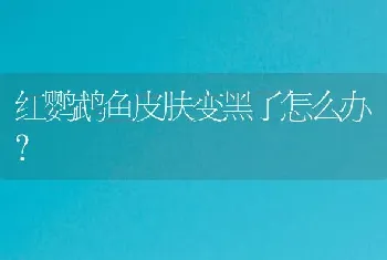 红鹦鹉鱼皮肤变黑了怎么办？