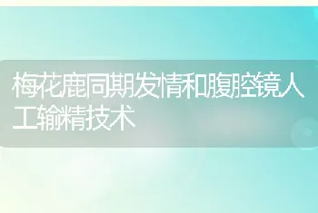 梅花鹿同期发情和腹腔镜人工输精技术