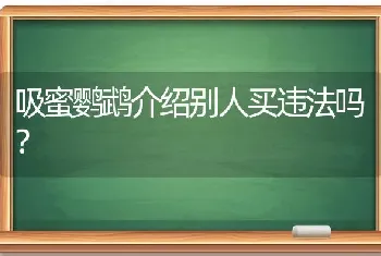 拉布拉多需要断尾吗？