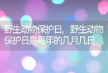 野生动物保护日，野生动物保护日是每年的几月几日