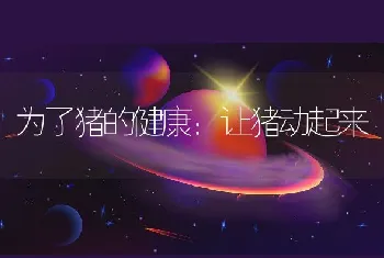 为了猪的健康：让猪动起来