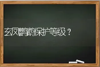 玄凤鹦鹉保护等级？