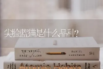 怎么训练小奶狗定点大小便？