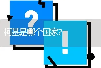 柯基是哪个国家？