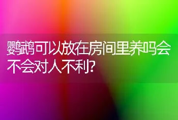 鹦鹉可以放在房间里养吗会不会对人不利？