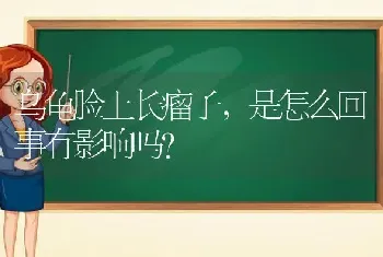 乌龟脸上长瘤子，是怎么回事有影响吗？