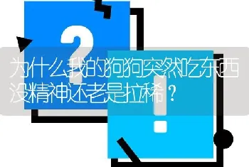 为什么我的狗狗突然吃东西没精神还老是拉稀？