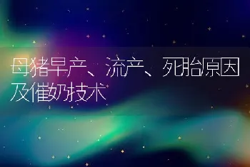 母猪早产、流产、死胎原因及催奶技术