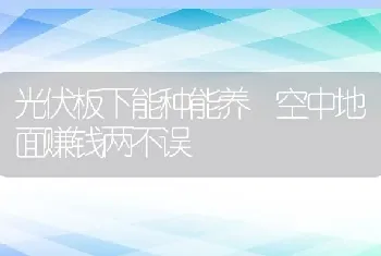 光伏板下能种能养 空中地面赚钱两不误