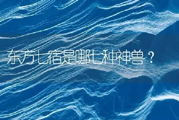 东方七宿是哪七种神兽？