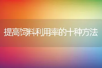 家兔疾病的综合防治措施