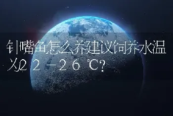 针嘴鱼怎么养建议饲养水温为22-26℃？