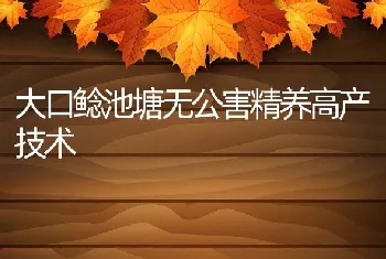 大口鲶池塘无公害精养高产技术