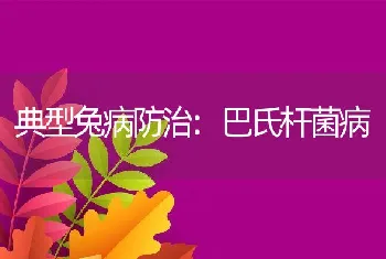 典型兔病防治:巴氏杆菌病