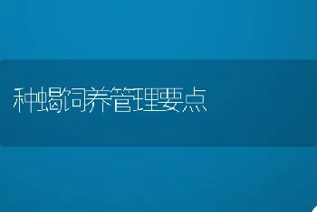 种蝎饲养管理要点