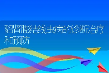 貂肾膨结线虫病的诊断治疗和预防