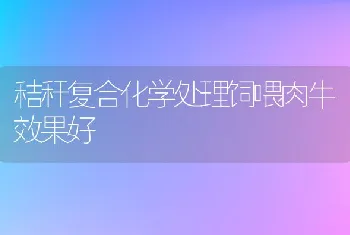 秸秆复合化学处理饲喂肉牛效果好