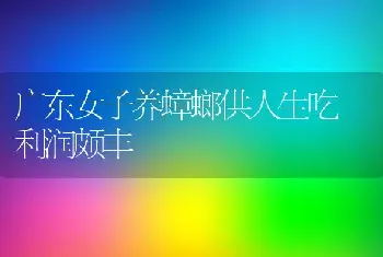 广东女子养蟑螂供人生吃 利润颇丰