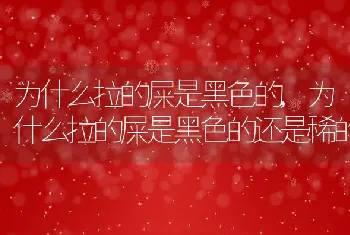 为什么拉的屎是黑色的，为什么拉的屎是黑色的还是稀的