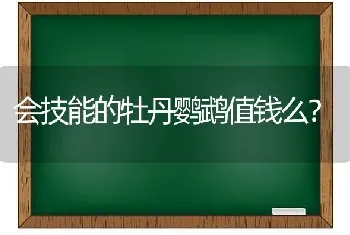 会技能的牡丹鹦鹉值钱么？