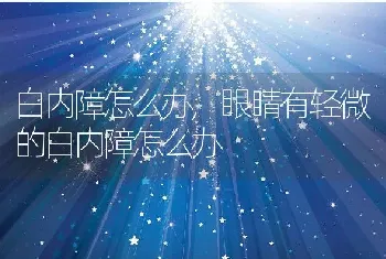 白内障怎么办，眼睛有轻微的白内障怎么办