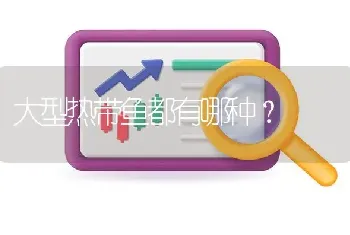 大型热带鱼都有哪种？