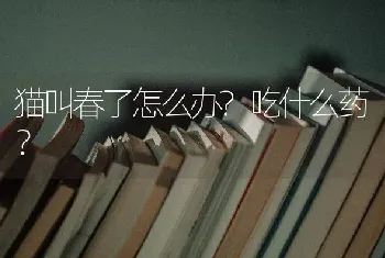 猫叫春了怎么办?吃什么药？