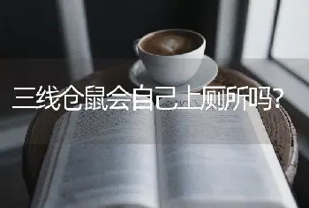 三线仓鼠会自己上厕所吗？