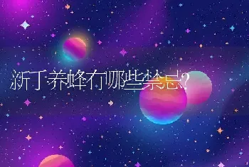 新手养蜂有哪些禁忌？