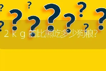 2kg的比熊吃多少狗粮？