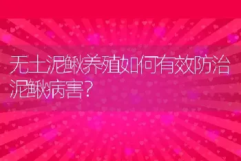 无土泥鳅养殖如何有效防治泥鳅病害？