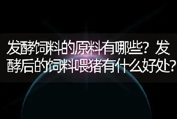 发酵饲料的原料有哪些？发酵后的饲料喂猪有什么好处？