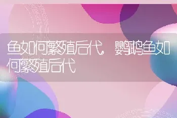 鱼如何繁殖后代，鹦鹉鱼如何繁殖后代