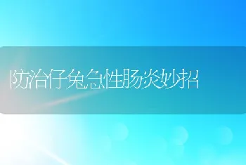 粗毛型长毛兔的饲养技术