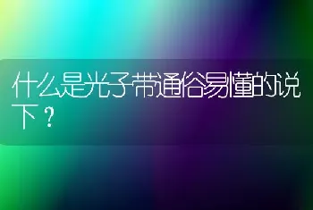 什么是光子带通俗易懂的说下？