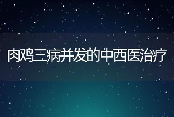 一种鲤鱼优良亲本的高强度选留方法获国家发明专利授权