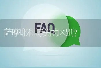 萨摩耶和博美的区别？