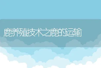 鹿养殖技术之鹿的运输