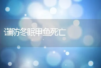 谨防冬眠甲鱼死亡