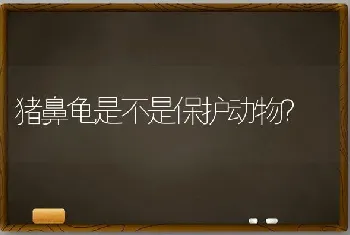 猪鼻龟是不是保护动物？