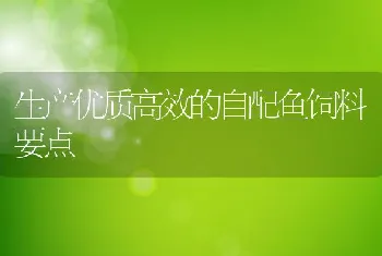 生产优质高效的自配鱼饲料要点